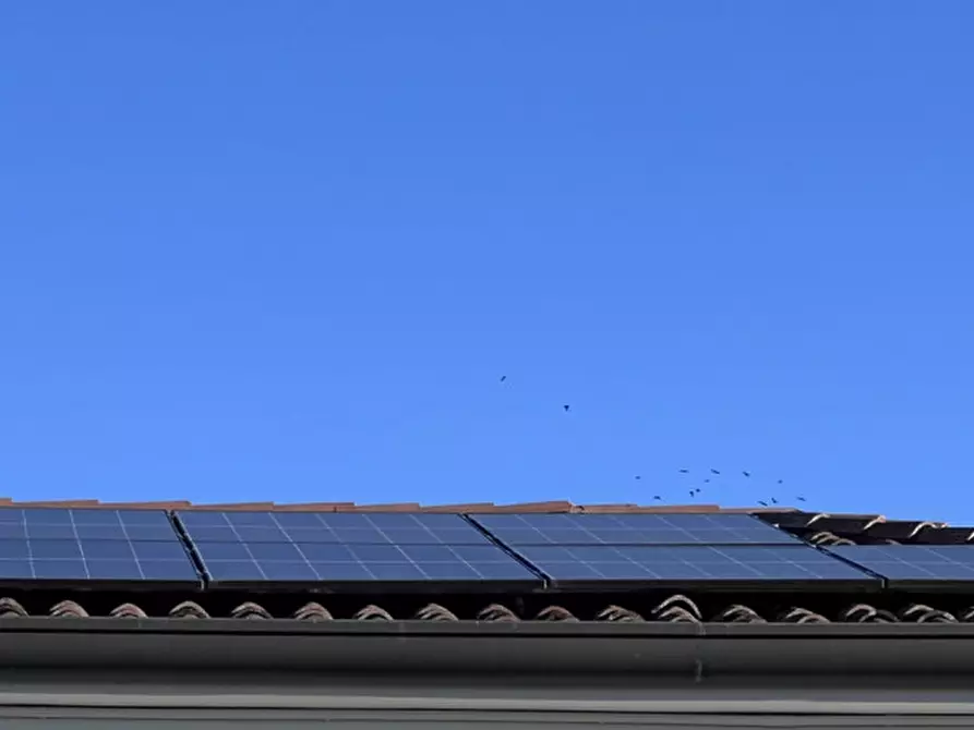 Immagine 42 di Casa bifamiliare in vendita  a Monselice