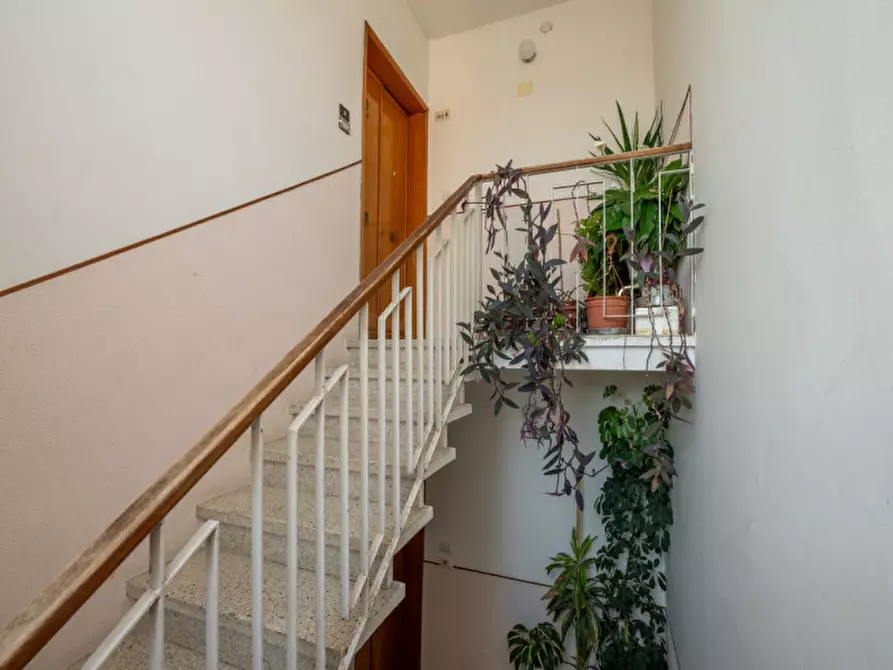 Immagine 13 di Appartamento in vendita  in Via Monte Fiorin a Monselice