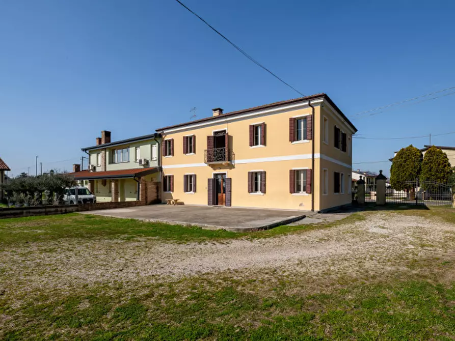 Immagine 3 di Casa bifamiliare in vendita  in Via Roma a San Pietro Viminario