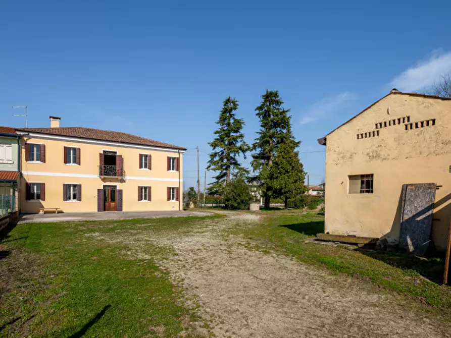 Immagine 4 di Casa bifamiliare in vendita  in Via Roma a San Pietro Viminario