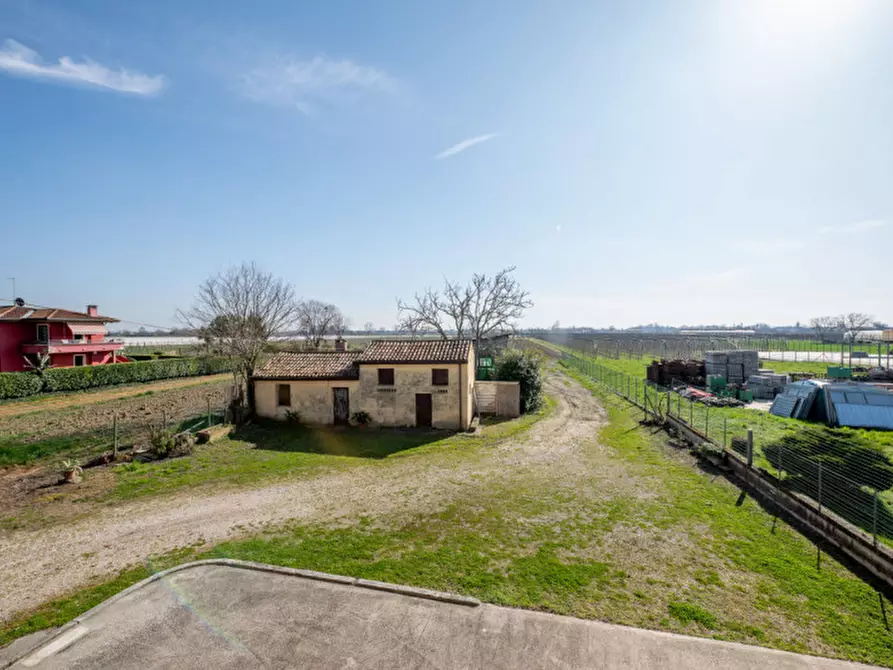 Immagine 41 di Casa bifamiliare in vendita  in Via Roma a San Pietro Viminario