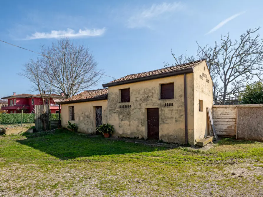 Immagine 42 di Casa bifamiliare in vendita  in Via Roma a San Pietro Viminario