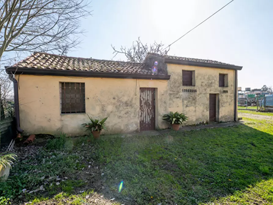 Immagine 43 di Casa bifamiliare in vendita  in Via Roma a San Pietro Viminario