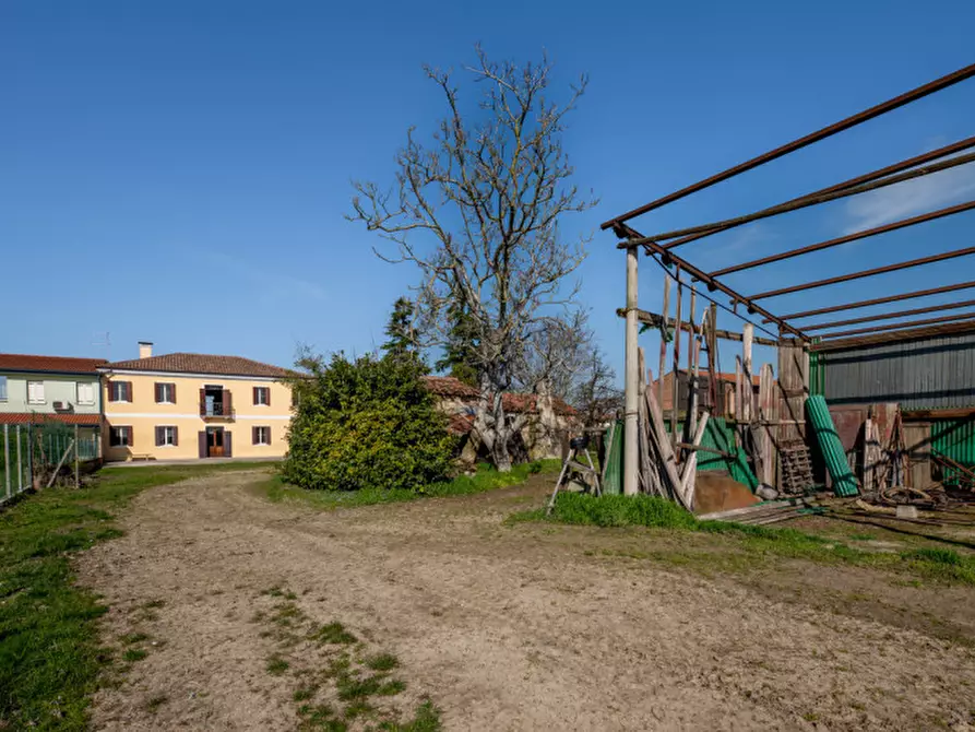 Immagine 44 di Casa bifamiliare in vendita  in Via Roma a San Pietro Viminario