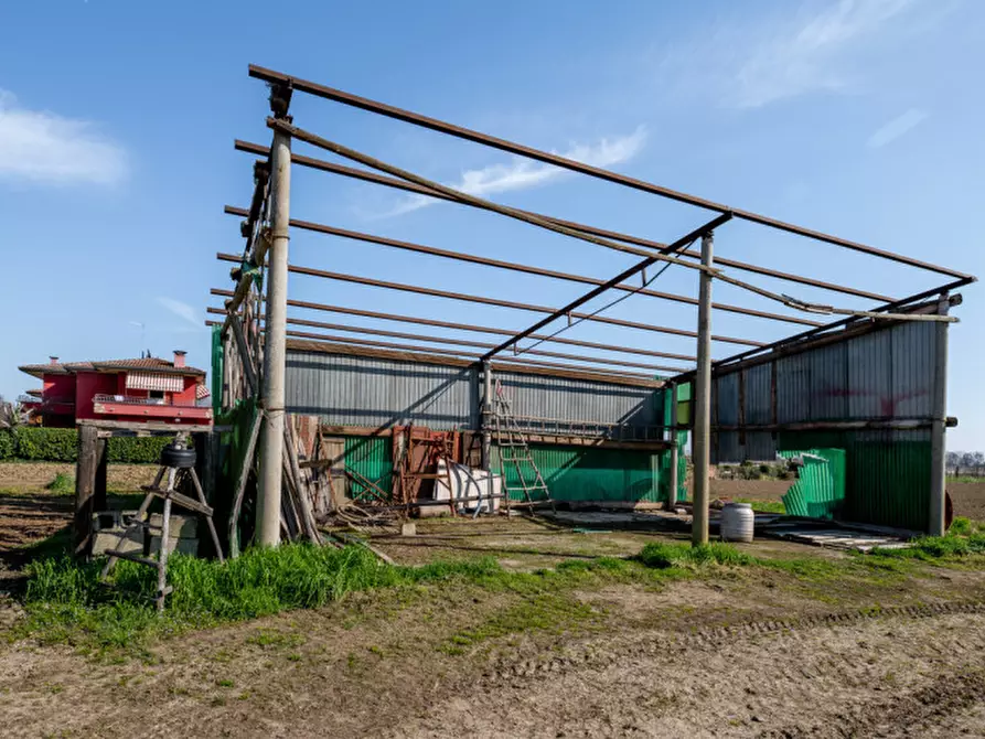 Immagine 45 di Casa bifamiliare in vendita  in Via Roma a San Pietro Viminario