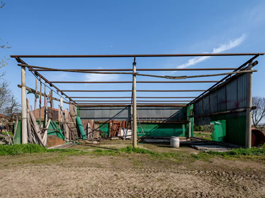 Immagine 46 di Casa bifamiliare in vendita  in Via Roma a San Pietro Viminario