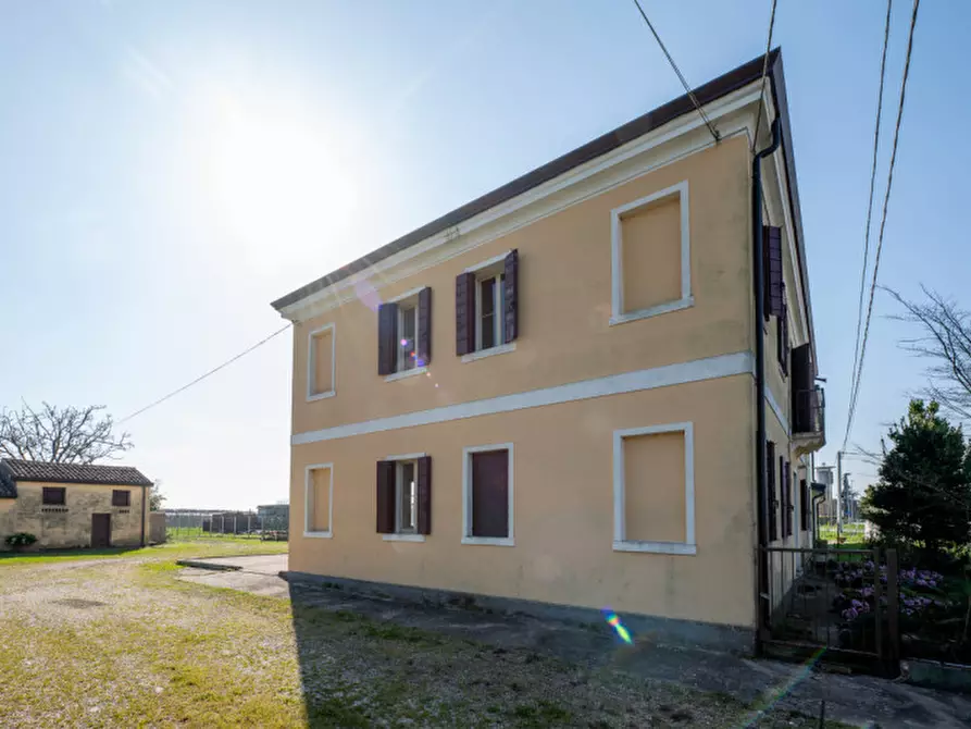 Immagine 47 di Casa bifamiliare in vendita  in Via Roma a San Pietro Viminario