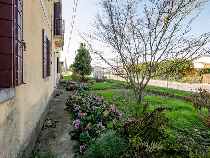 Immagine 48 di Casa bifamiliare in vendita  in Via Roma a San Pietro Viminario