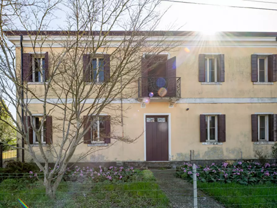 Immagine 52 di Casa bifamiliare in vendita  in Via Roma a San Pietro Viminario