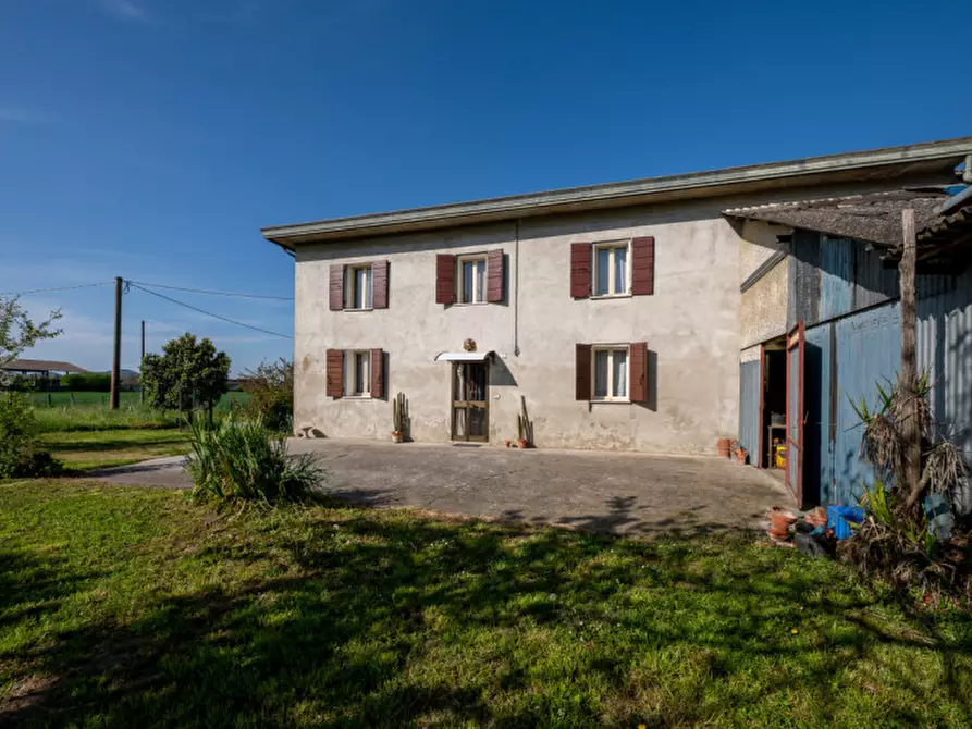 Immagine 3 di Casa indipendente in vendita  in Via Cristo II Strada a San Pietro Viminario