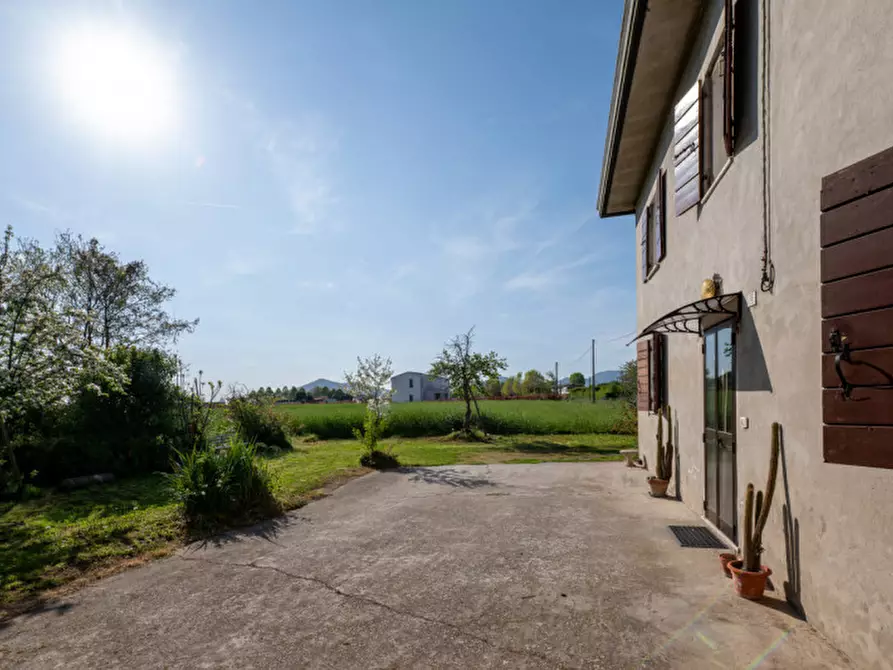 Immagine 43 di Casa indipendente in vendita  in Via Cristo II Strada a San Pietro Viminario