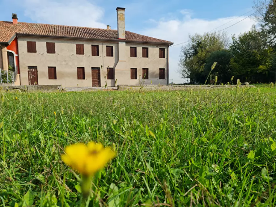 Immagine 3 di Rustico / casale in vendita  in Via Padova, 116 a Conselve