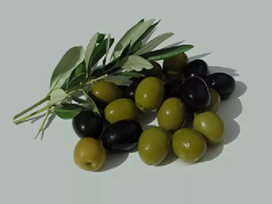 Immagine 6 di Attività commerciale in vendita  in strada provinciale26 a Cartoceto