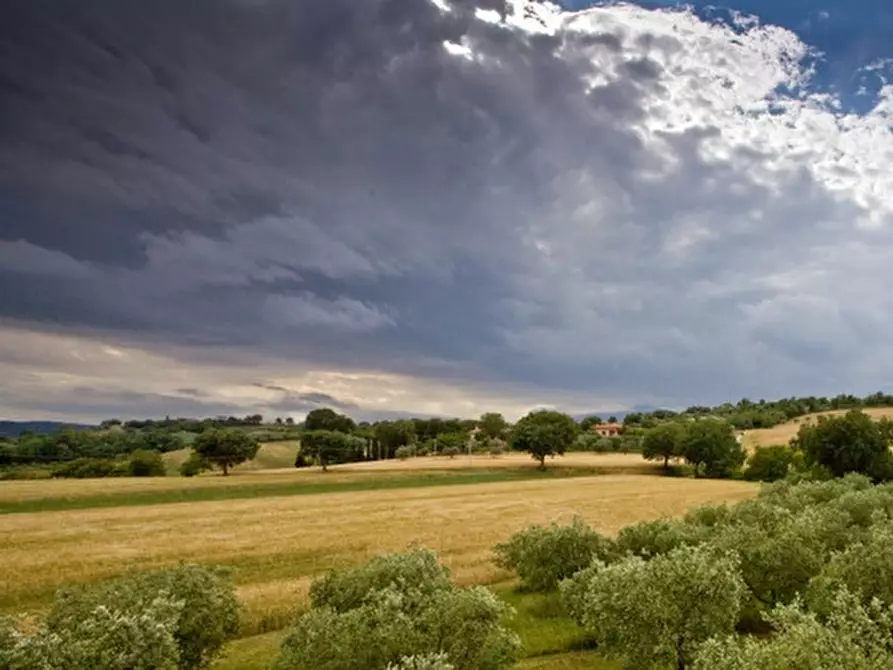 Immagine 7 di Attività commerciale in vendita  in strada provinciale26 a Cartoceto