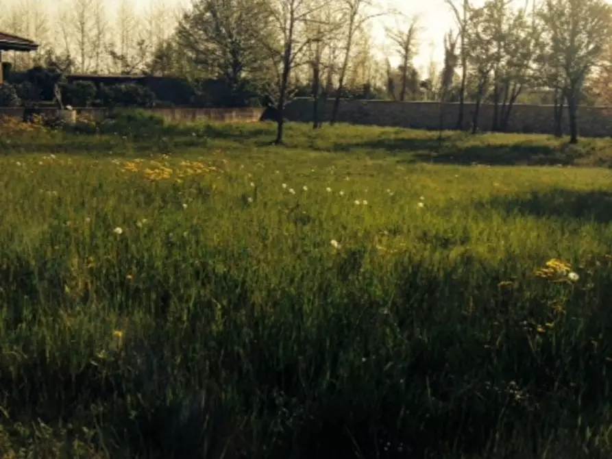 Immagine 2 di Terreno in vendita  in Via Cellina a San Quirino