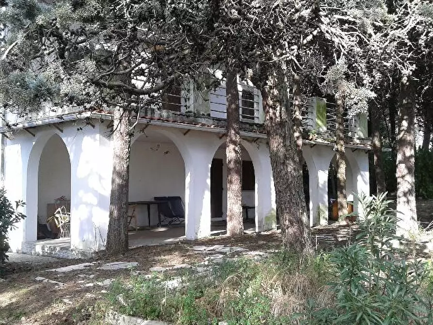 Immagine 3 di Villa in vendita  in strada panoramica adriatica a Pesaro