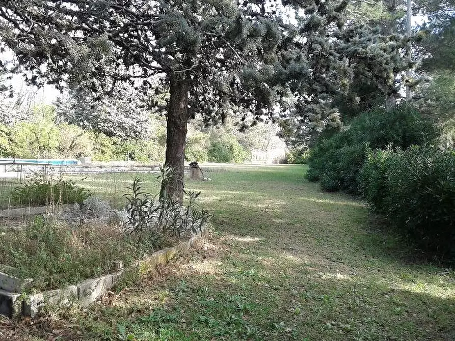 Immagine 4 di Villa in vendita  in strada panoramica adriatica a Pesaro