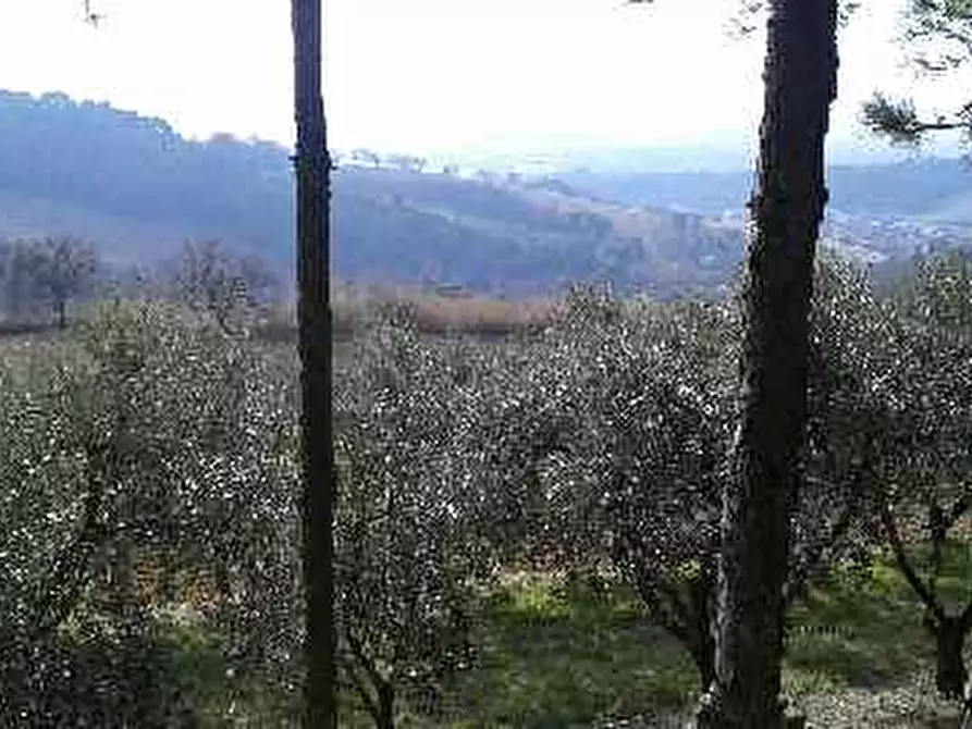 Immagine 5 di Villa in vendita  in strada panoramica adriatica a Pesaro