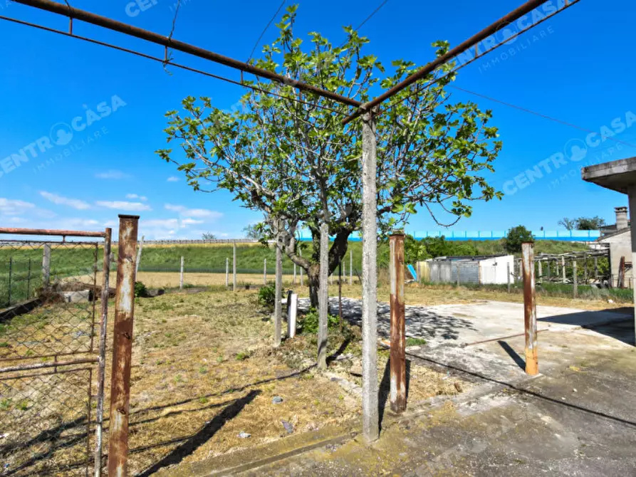 Immagine 49 di Casa bifamiliare in vendita  in Via Gioacchino Rossini a Legnago