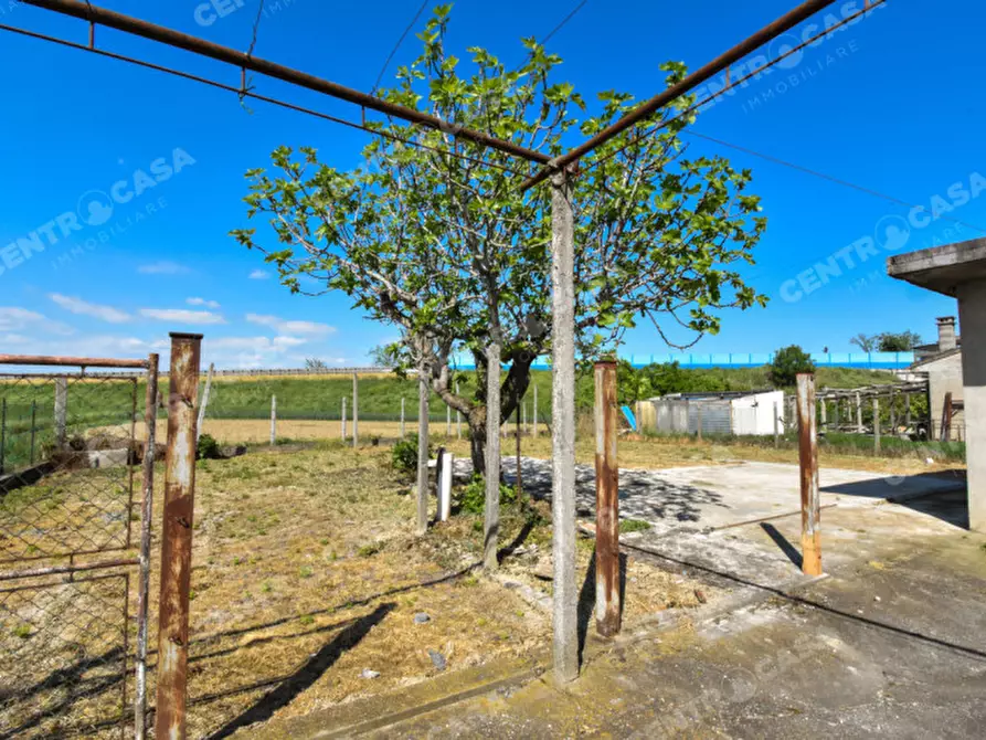 Immagine 50 di Casa bifamiliare in vendita  in Via Gioacchino Rossini a Legnago