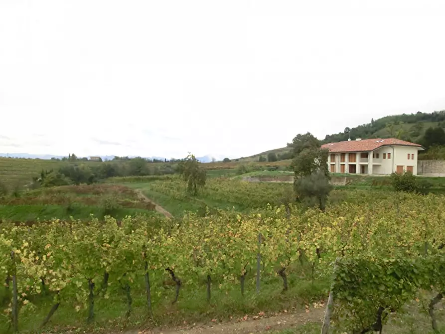 Immagine 14 di Villa in vendita  in Via Abate Geroldo a Manzano