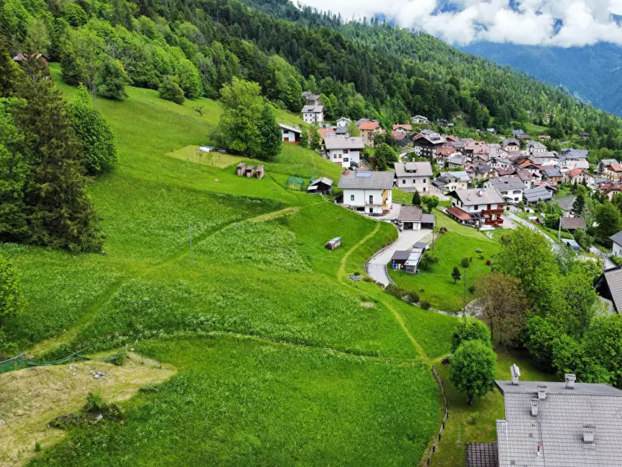 Immagine 1 di Terreno in vendita  a Voltago Agordino