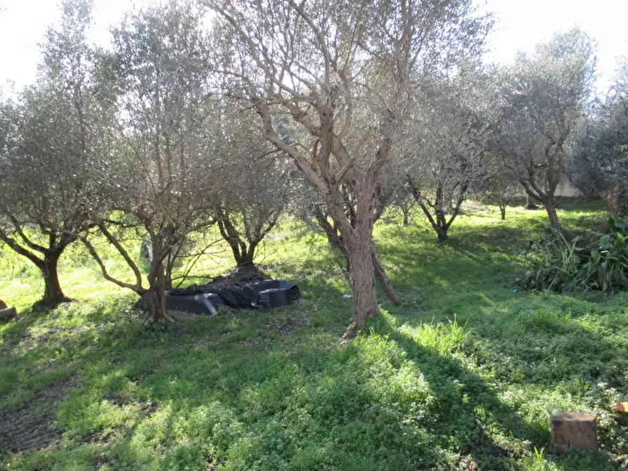 Immagine 11 di Villetta a schiera in vendita  in via montebianco a Senigallia