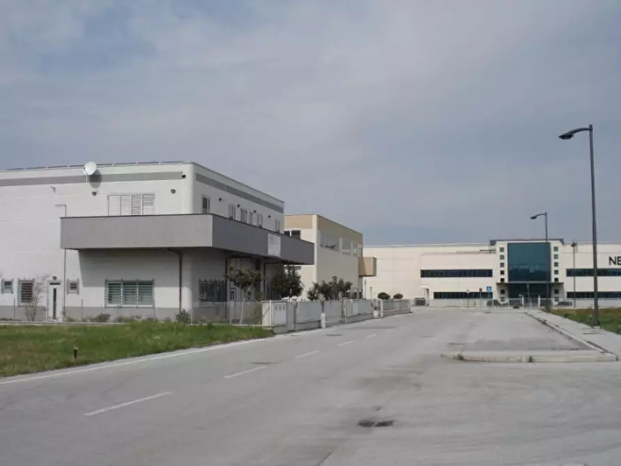 Immagine 3 di Terreno in vendita  a Longiano