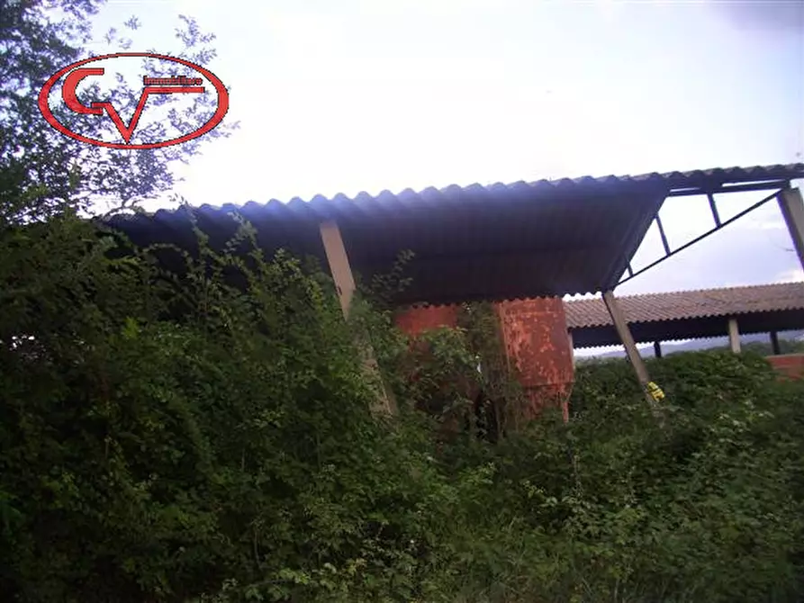 Immagine 8 di Rustico / casale in vendita  in montalto a Laterina Pergine Valdarno