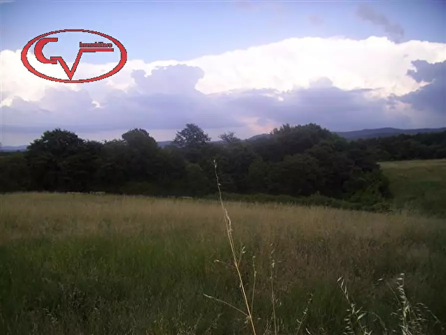 Immagine 11 di Rustico / casale in vendita  in montalto a Laterina Pergine Valdarno