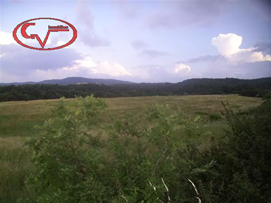 Immagine 12 di Rustico / casale in vendita  in montalto a Laterina Pergine Valdarno