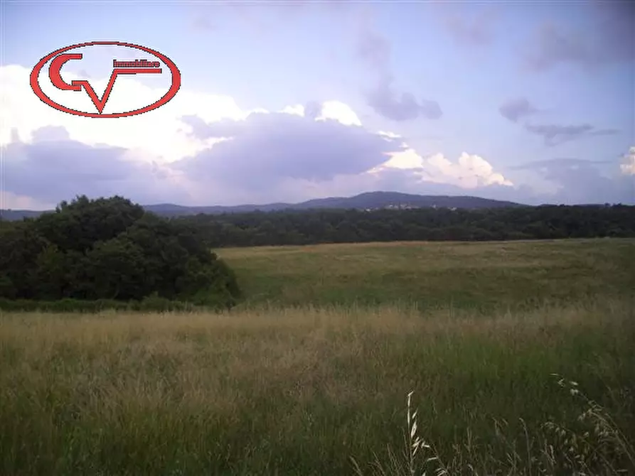 Immagine 15 di Rustico / casale in vendita  in montalto a Laterina Pergine Valdarno