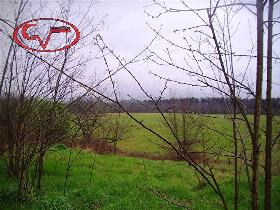 Immagine 17 di Rustico / casale in vendita  in montalto a Laterina Pergine Valdarno