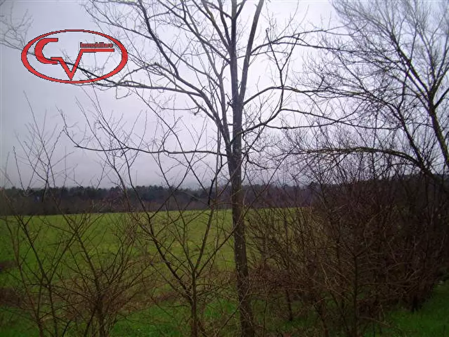 Immagine 19 di Rustico / casale in vendita  in montalto a Laterina Pergine Valdarno