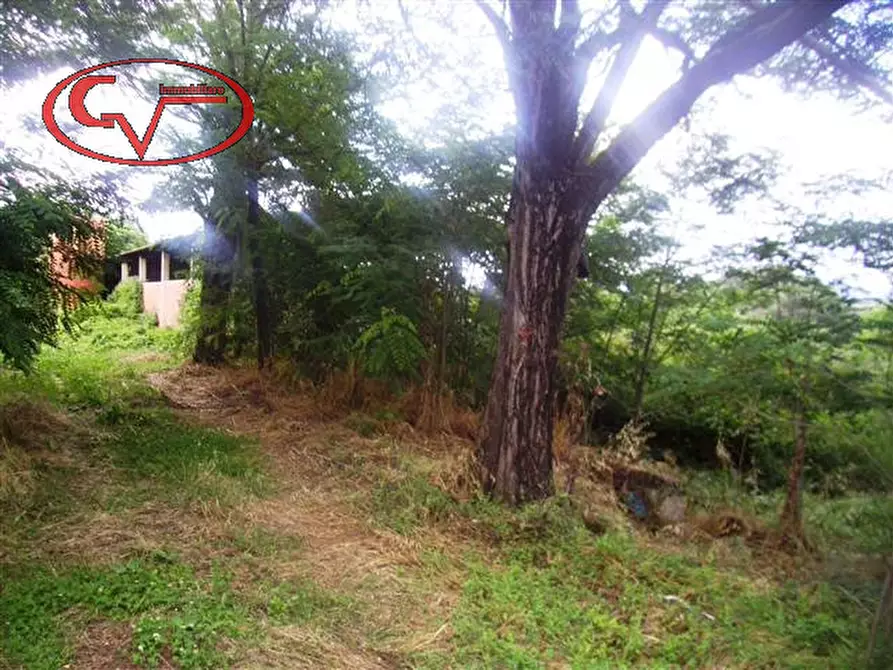 Immagine 26 di Rustico / casale in vendita  in montalto a Laterina Pergine Valdarno