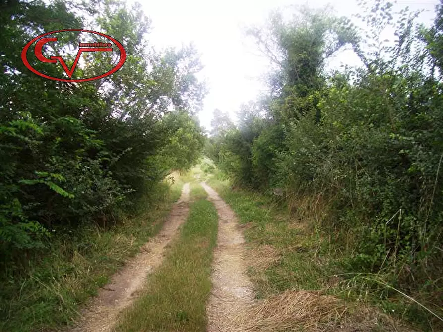 Immagine 27 di Rustico / casale in vendita  in montalto a Laterina Pergine Valdarno