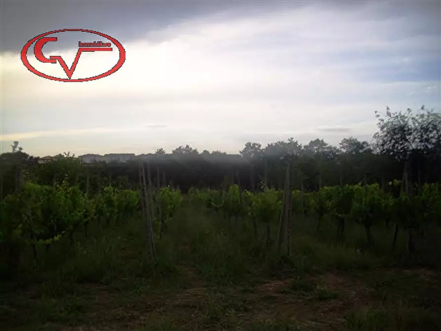 Immagine 29 di Rustico / casale in vendita  in montalto a Laterina Pergine Valdarno