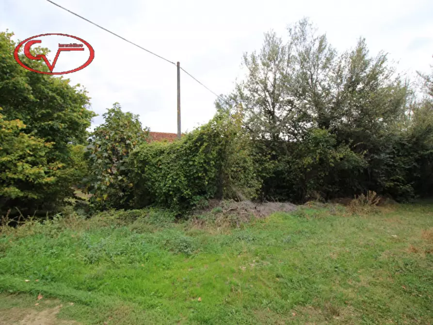 Immagine 34 di Rustico / casale in vendita  in montalto a Laterina Pergine Valdarno