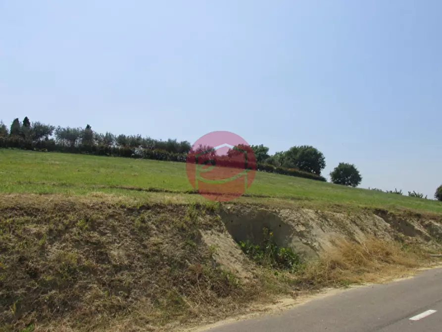Immagine 6 di Terreno in vendita  a Montiano
