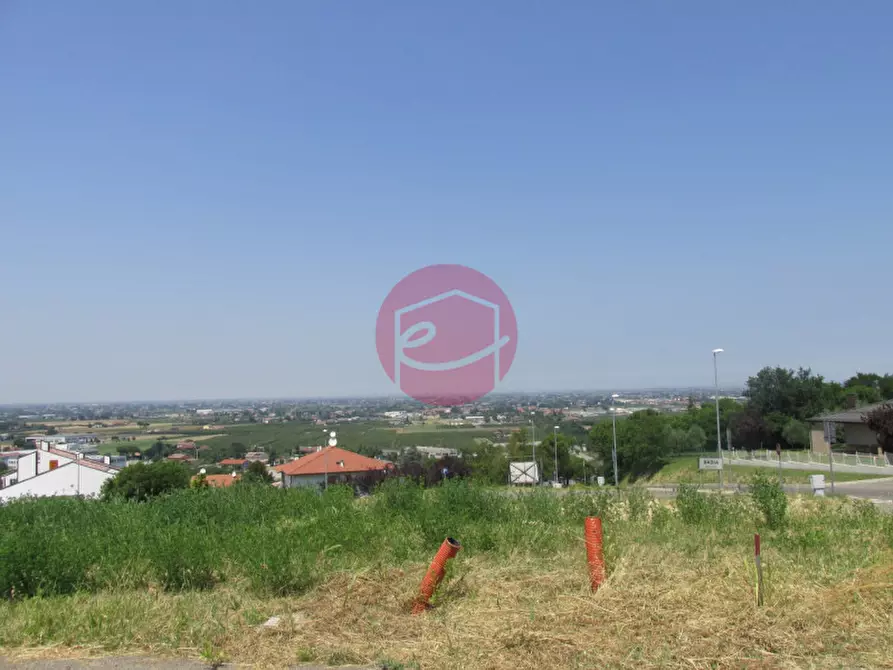 Immagine 6 di Terreno in vendita  a Montiano