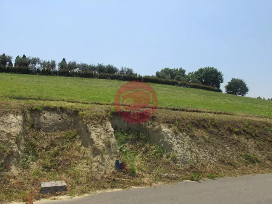 Immagine 7 di Terreno in vendita  a Montiano
