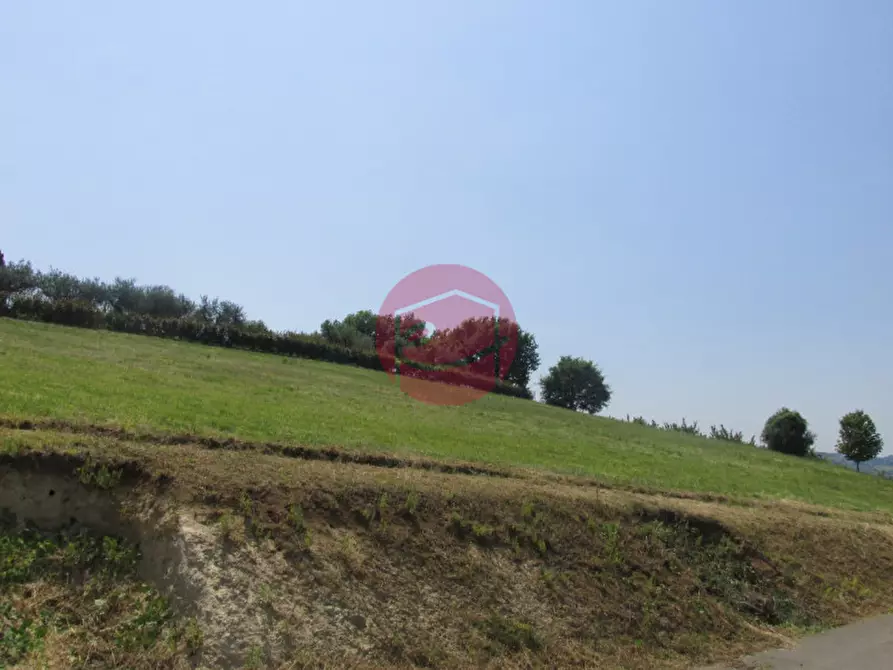 Immagine 8 di Terreno in vendita  a Montiano