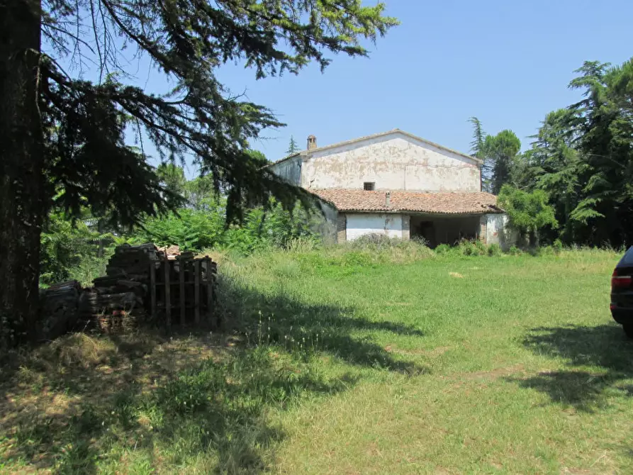 Immagine 2 di Rustico / casale in vendita  a Cesena