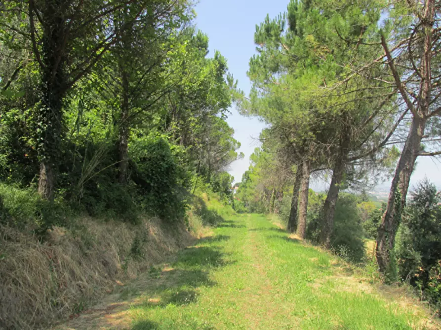 Immagine 3 di Rustico / casale in vendita  a Cesena
