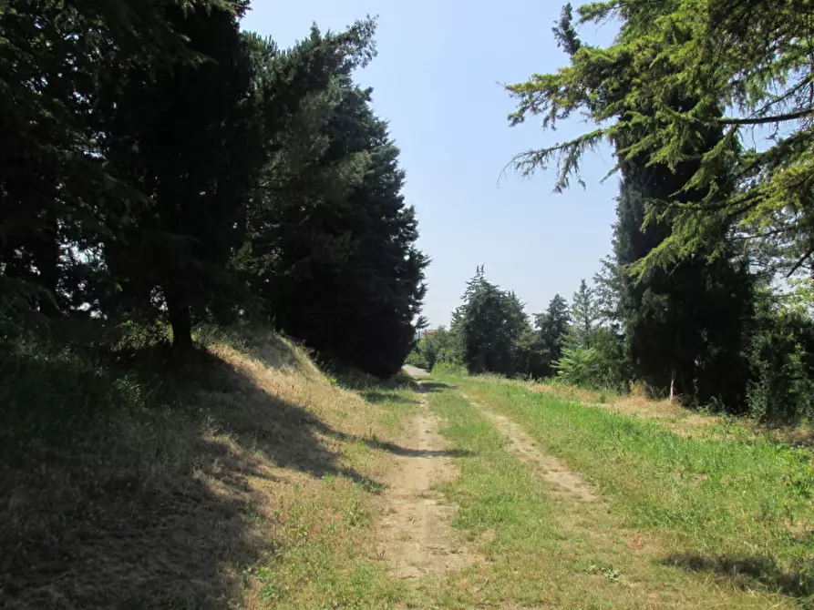 Immagine 4 di Rustico / casale in vendita  a Cesena