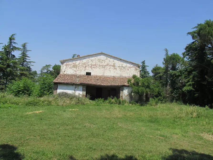 Immagine 5 di Rustico / casale in vendita  a Cesena