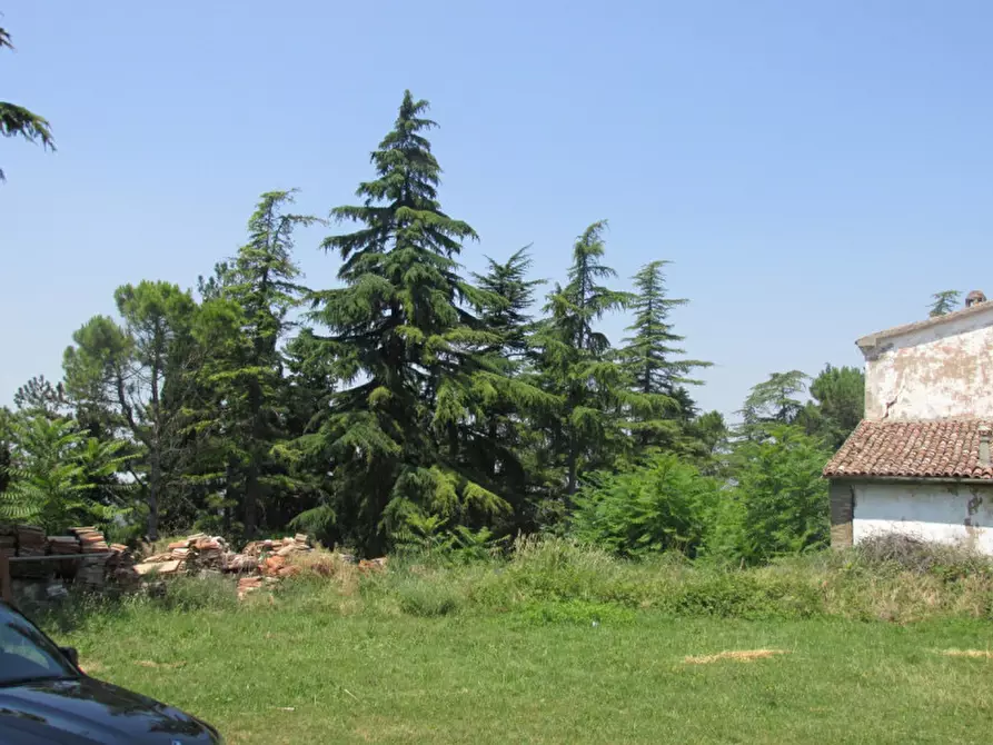 Immagine 6 di Rustico / casale in vendita  a Cesena