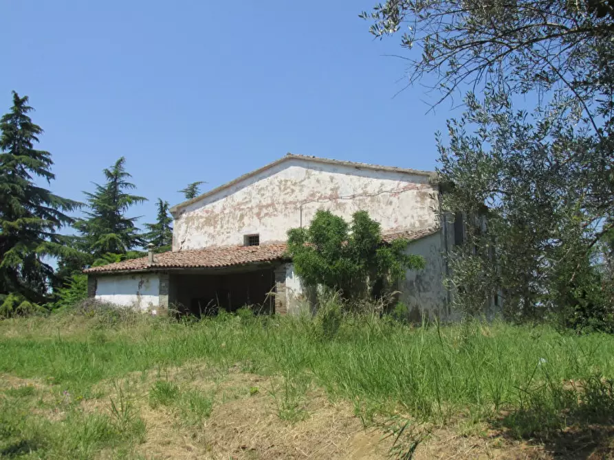 Immagine 6 di Rustico / casale in vendita  a Cesena