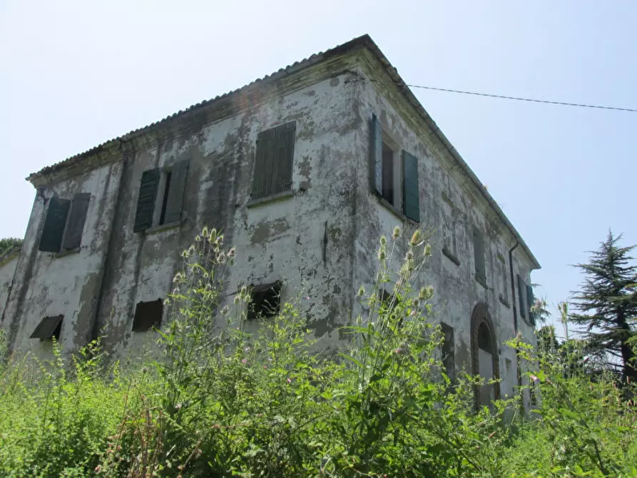 Immagine 20 di Rustico / casale in vendita  a Cesena