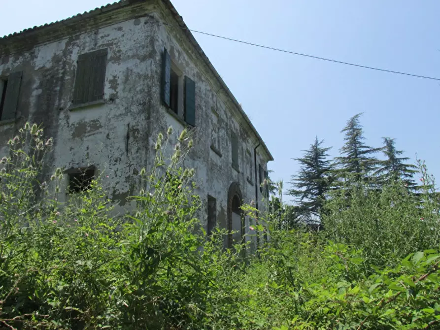 Immagine 21 di Rustico / casale in vendita  a Cesena